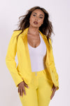 Made In Italy Suit Blazer - Yellow 1